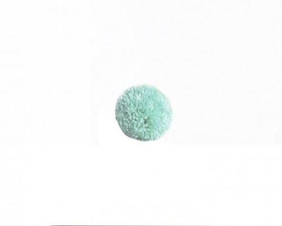 Bilde av Fayne Pompom, Mint