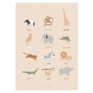 Bilde av Sebra Plakat, Wildlife