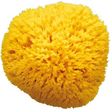 Bilde av OKBaby Badesvamp til Barn, Honeycomb