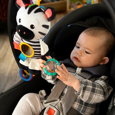 Bilde av Baby Einstein Aktivitetsleke, Sebra