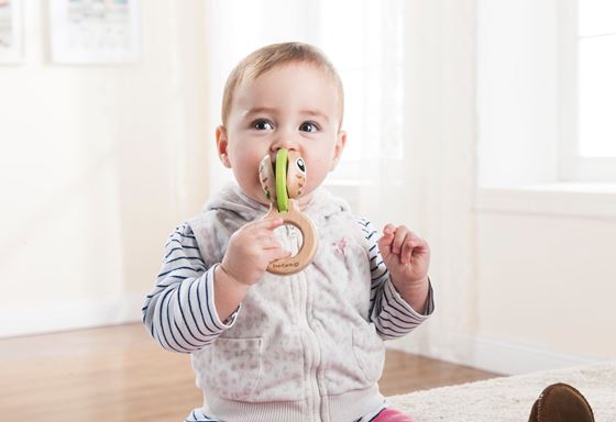 Bilde av UTGÅTT! EverEarth Treleke, Babyrangle Ugle