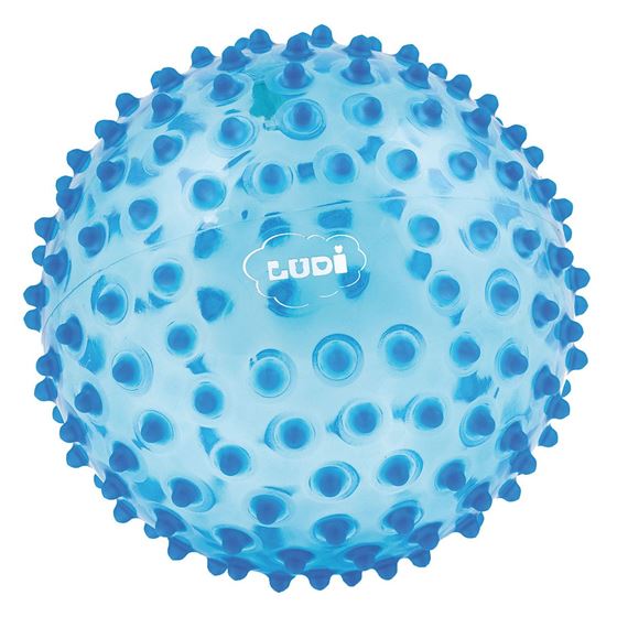 Bilde av UTGÅTT! Ludi Sanseball - Blå