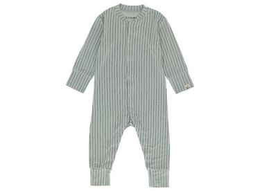 Bilde av Gullkorn Babydress, Vennen, Dus Grønn