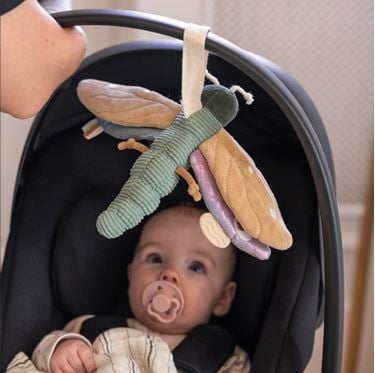 Bilde av Sebra Babyrangle, Øyenstikker