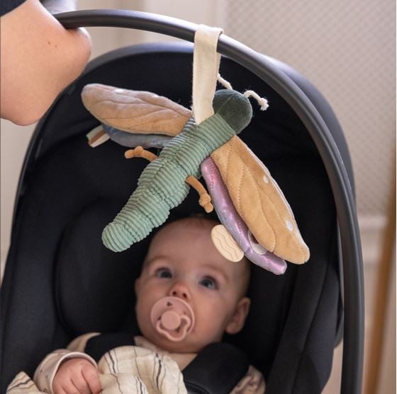 Bilde av Sebra Babyrangle, Øyenstikker