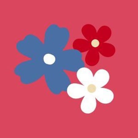 Bilde for kategori SALG 